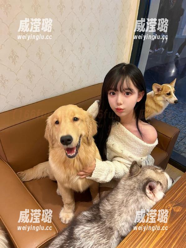 有了“166fun”，瓜情再也不怕“永久”掉线！