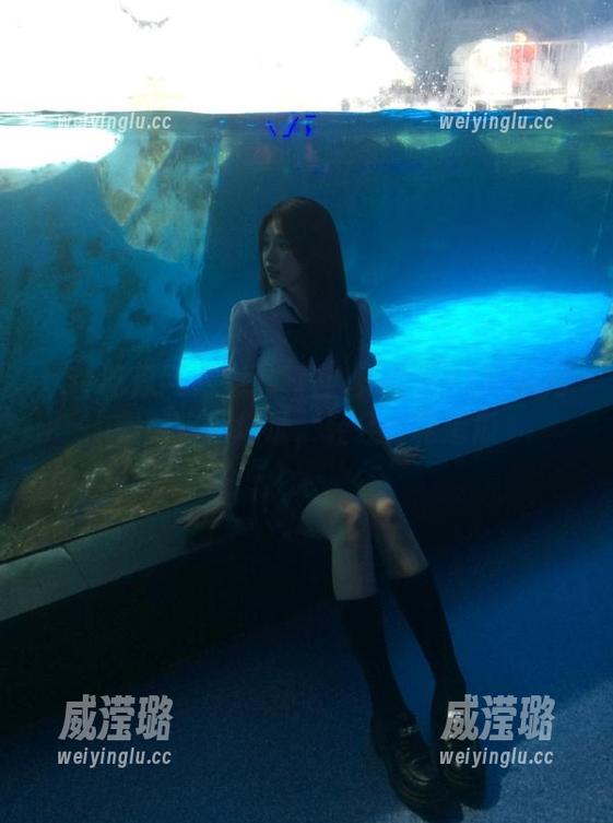 在线课程：如何找51吃瓜网最新官网地址，轻轻松松追瓜