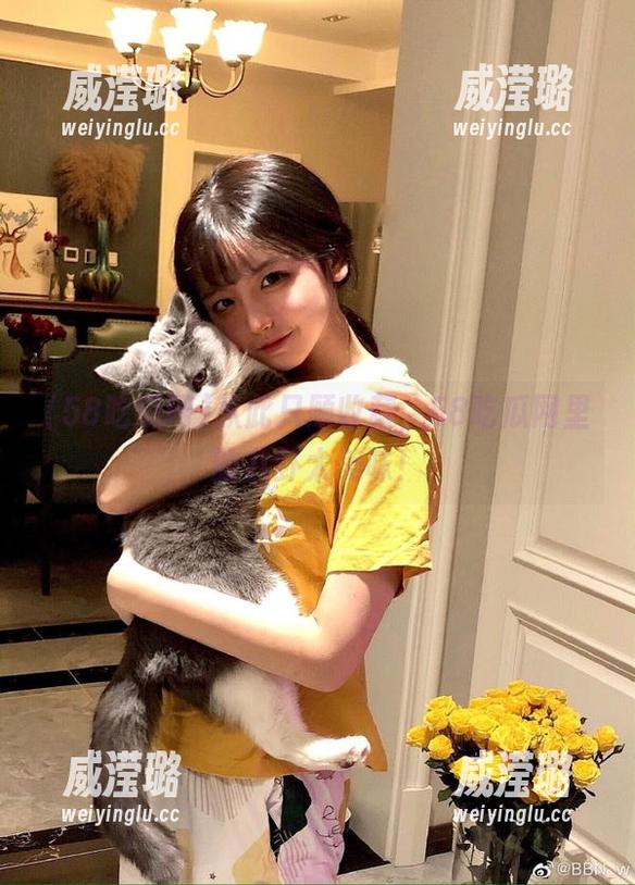 从此只顾收藏，58吃瓜网里的八卦太美味！