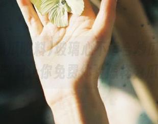玻璃心不适合炒瓜，718黑瓜吃料让你免费体验怎样为瓜有瘾
