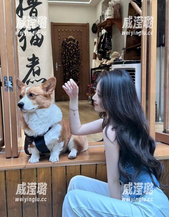 下载91吃瓜中心，跟着我一起吃瓜不慌！