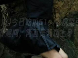 今日吃瓜51：老虎菜引发的资源趣闻，简直是戏精上身！