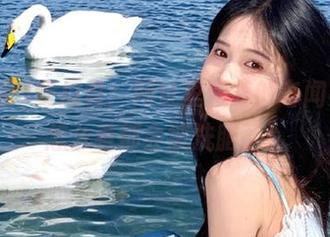 吃瓜君：网址里藏着的奇闻异事，怎么看都会被洗脑了！