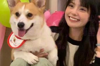 cgw吃瓜网更新：当你以为已经吃饱，却发现新瓜又来了，脑海里又开始浮想联翩。