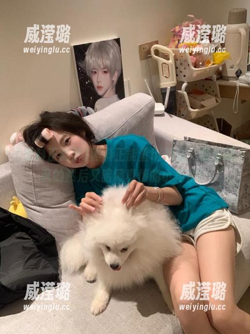 黑料正能量hl网站，肆意嘲讽的然后又暗藏真情的小角落！