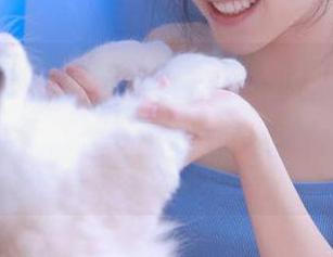 每天更新！“黑料正能量不打烊”又有新资源了，快来点亮你的猎奇心！