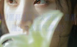 黑料社岁末大更新，最新线路里藏了多少瓜气满满？